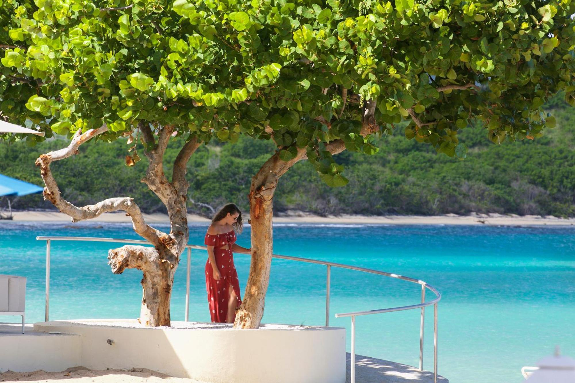 The Buccaneer Beach & Golf Resort Christiansted Extérieur photo