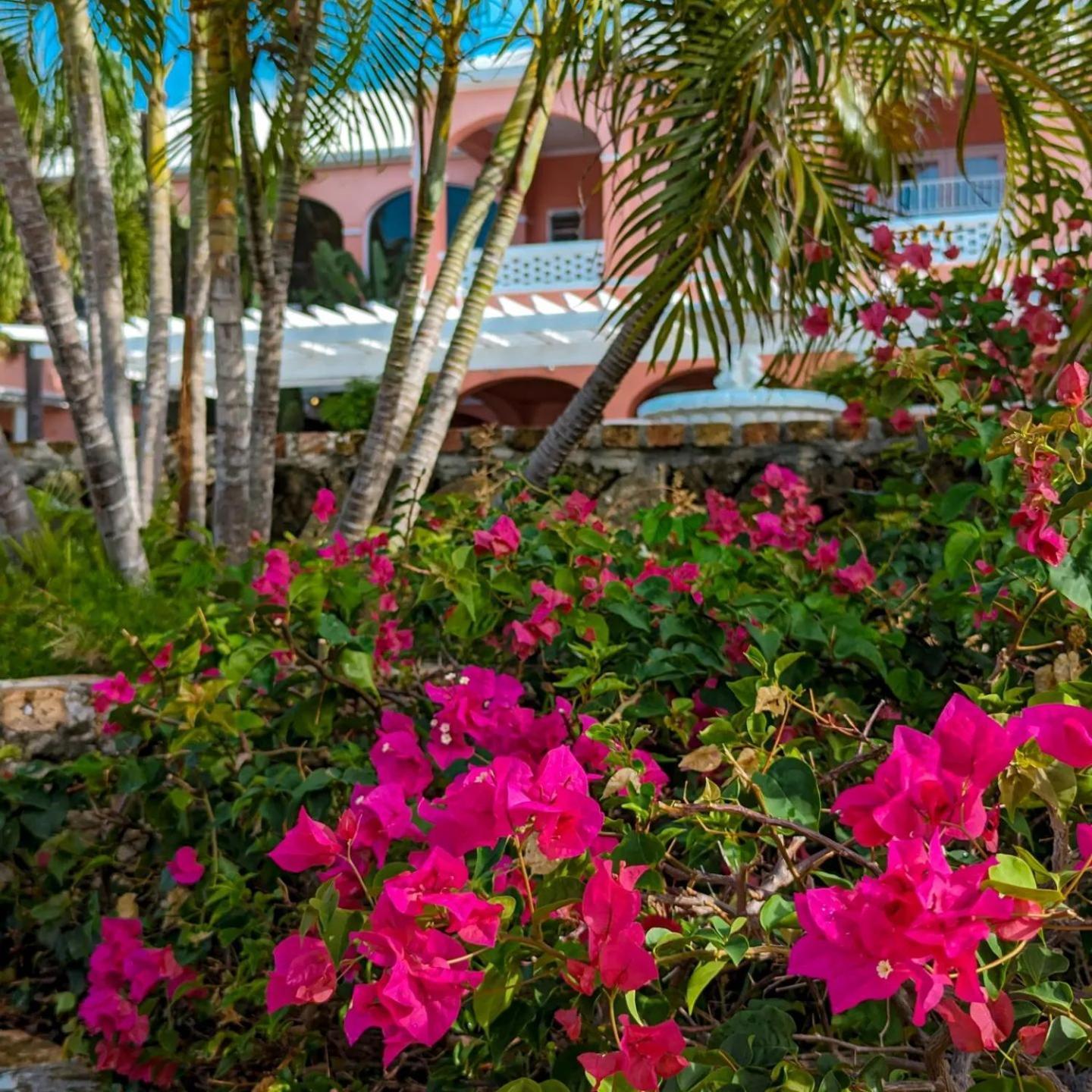The Buccaneer Beach & Golf Resort Christiansted Chambre photo